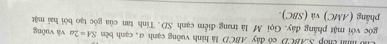hình chốp S. ABCD có đáy ABCD là hình vuông cạnh α, cạnh bên SA=2a và vuông 
góc với mặt phẳng đáy. Gọi M là trung điểm cạnh SD. Tính tan của góc tạo bởi hai mặt 
phẳng (AMC) và (SBC).