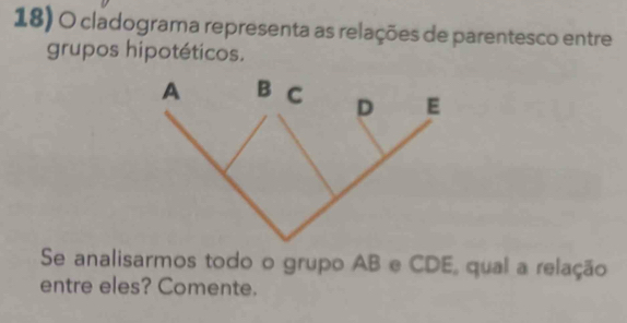 cladograma representa as relações de parentesco entre 
grupos hipotéticos. 
Se analisarmos todo o grupo AB e CDE, qual a relação 
entre eles? Comente.