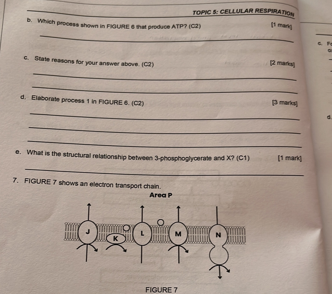 TOPIC 5: CELLULAR RESPIRATION 
b. Which process shown in FIGURE 6 that produce ATP? (C2) [1 mark] 
_ 
c. F 
c. State reasons for your answer above. (C2) 
[2 marks] 
_ 
_ 
d. Elaborate process 1 in FIGURE 6. (C2) [3 marks] 
_ 
d. 
_ 
_ 
e. What is the structural relationship between 3 -phosphoglycerate and X? (C1) [1 mark] 
_ 
7. FIGURE 7 shows an electron transport chain. 
FIGURE 7