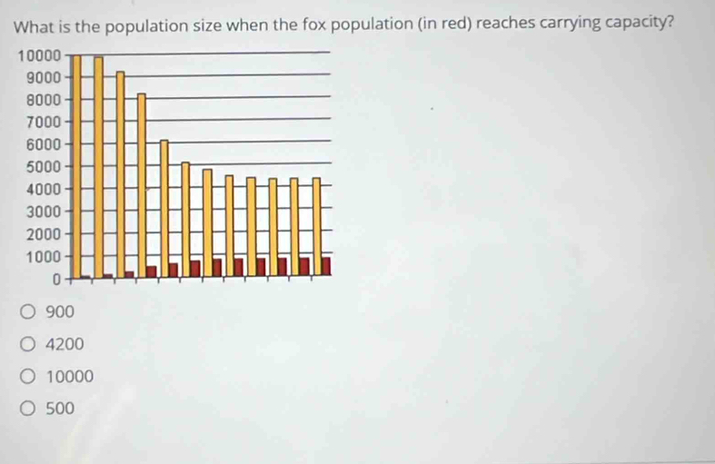 What is the population size when the fox population (in red) reaches carrying capacity?
900
4200
10000
500