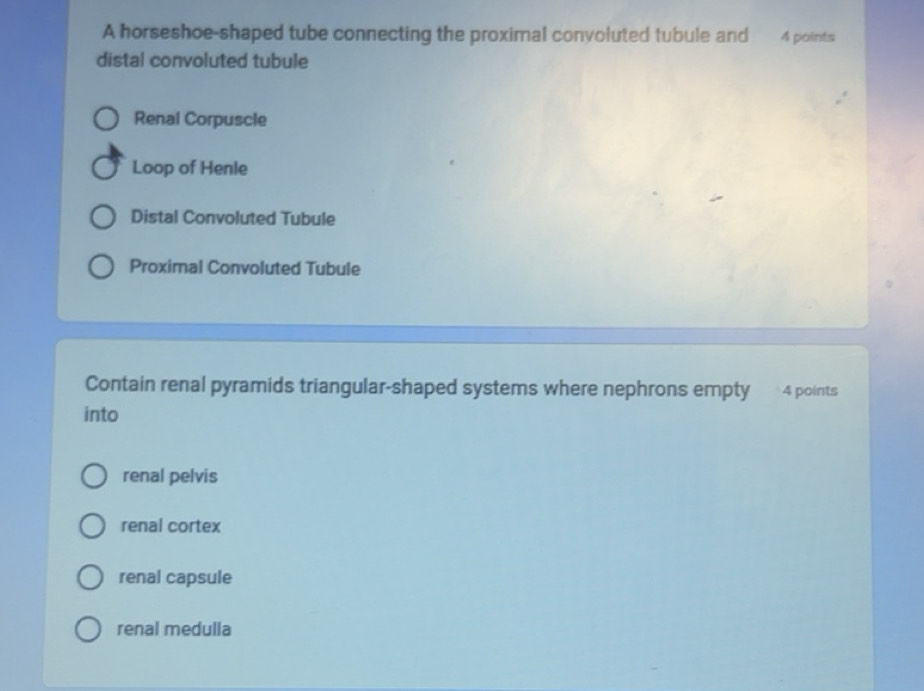 Solved: A horseshoe-shaped tube connecting the proximal convoluted ...