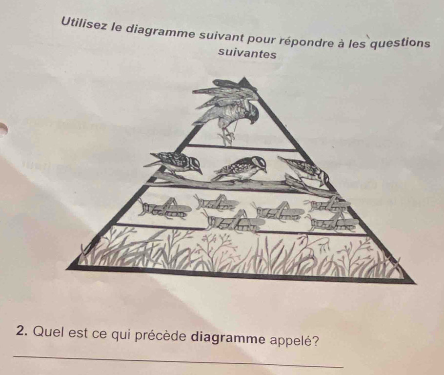 Utilisez le diagramme suivant pour répondre à les questions 
suivantes 
2. Quel est ce qui précède diagramme appelé? 
_