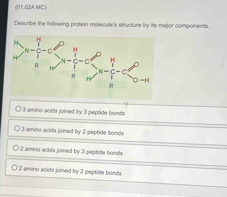 (01.02A MC)
Describe the following protein molecule's structure by its major components.
frac H_HR-C_R- O/O RN-C^(H-frac OH)R-frac OORCO^OHH- O/R -C<0-H 
3 amino acids joined by 3 peptide bonds
3 amino acids joined by 2 peptide bonds
2 amino acids joined by 3 peptide bonds
2 amino acids joined by 2 peptide bonds