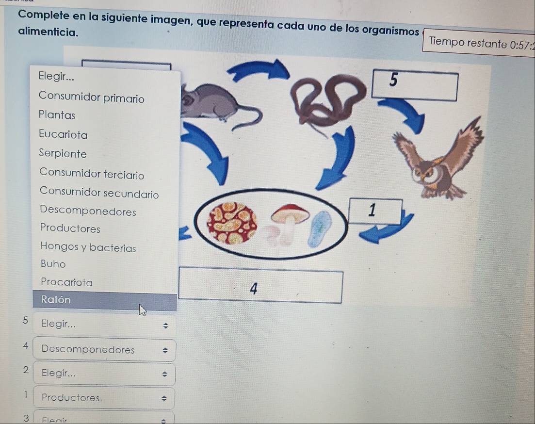 Complete en la siguiente imagen, que representa cada uno de los organismos Tiempo restante 0:57 : 
alimenticia. 
Elegir... 
Consumidor primario 
Plantas 
Eucariota 
Serpiente 
Consumidor terciario 
Consumidor secundario 
Descomponedores 
Productores 
Hongos y bacterias 
Buho 
Procariota 4 
Ratón 
5 Elegir... 
4 Descomponedores 
2 Elegir... 
1 Productores 
3 Fleair