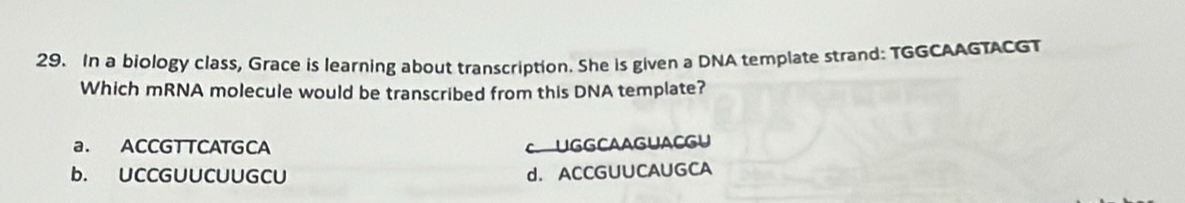 In a biology class, Grace is learning about transcription. She is given a DNA template strand: TGGCAAGTACGT
Which mRNA molecule would be transcribed from this DNA template?
a. ACCGTTCATGCA UGGCAAGUACGU
b. UCCGUUCUUGCU d. ACCGUUCAUGCA