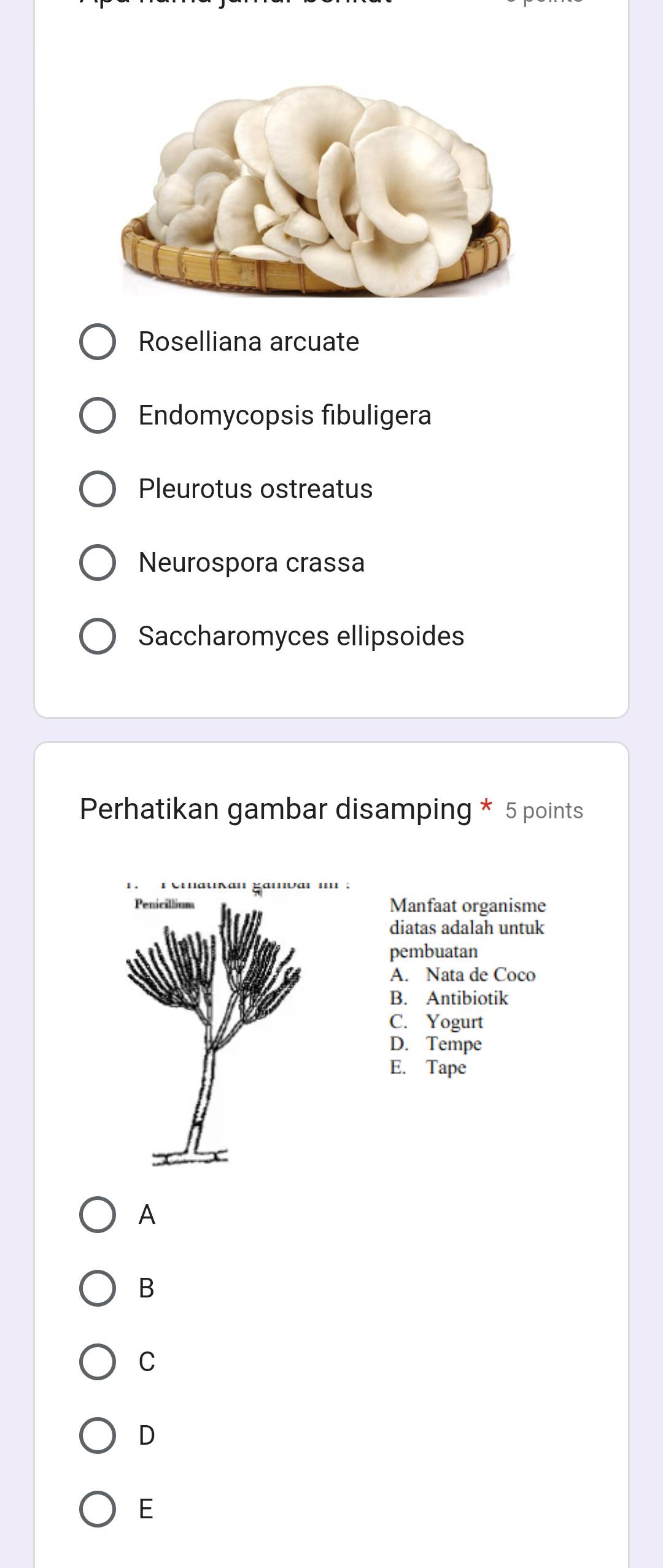 Roselliana arcuate
Endomycopsis fibuligera
Pleurotus ostreatus
Neurospora crassa
Saccharomyces ellipsoides
Perhatikan gambar disamping * 5 points
:
Manfaat organisme
diatas adalah untuk
pembuatan
A. Nata de Coco
B. Antibiotik
C. Yogurt
D. Tempe
E. Tape
A
B
C
D
E