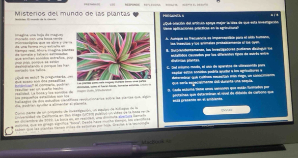 PREPARATE LEE RESPONDE RETLENIONA REDACTA aceipta el desatío
Misterios del mundo de las plantas PREGUNTA 4
Moticias: El mundo de la ciencía
¿Qué oración del artículo apoya mejor la idea de que esta investigación
tiene aplicaciones prácticas en la agricultura?
morado con una boca verda  Imagina una hoja de maguey
de una forma muy extraña en microecópica que se abre y cierrA. Aunque su frecuencia es imperceptible para el oldo humano,
los insectos y los animales probablemente sí los oyen.
de tomate y tabaco estresadas tiempo real. Ahora imagina plantB. Sorprendentemente, los investigadores pudieron distinguir los
óp pon, porque se están que emiten sonidos extraños, poestallidos causados por los diferentes tipos de estrés entre
distintas plantas.
cortado los tallos deshidratando o porque les hanC. Del mismo modo, el uso de aparatos de ultrasonido para
captar estos sonidos podría ayudar a los agricultores a
que acaso son dos pesadílias ¿Qué es esto? Te preguntarás, ¿edeterminar qué cultivos necesitan más riego, un conocimiento
resultar ser un sueño hecho botánicas? Al contrario, podrian dimimutas, como el fueren boces, Ramados estomas, Criuto d que sería especialmente útil durante una sequia.
los pequeños estallidos son los realidad. La boca y los sonidos de imagen, Dudin_S/Shuttendock D. Cada estoma tiene unos sensores que están formados por
hallazgos de dos estudios científicos revolucionarios sobre las plantas que, algún proteínas que determinan el nível de dióxido de carbono que
dia, podrían ayudar a alimentar al planeta. está presente en el ambiente.
Como parte de un proyecto de investigación, un equipo de biólogos de la
LUniversidad de California en Iam Diego (UCSD) publicó un videó de la boca verde
en diclembre de 2022. La boca es, en realidad, una diminuta abertura llamada ENVIAR
estoma, que en griego signífica "boca". Desde hace mucho tiempo, los científicos
saben que las plantas tienen miles de estomas por hoja. Gracías a la tecnología
MacBook Ai