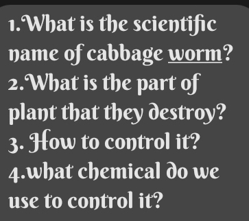 What is the scientific 
name of cabbage worm? 
2.What is the part of 
plant that they destroy? 
3. How to control it? 
4.what chemical do we 
use to control it?