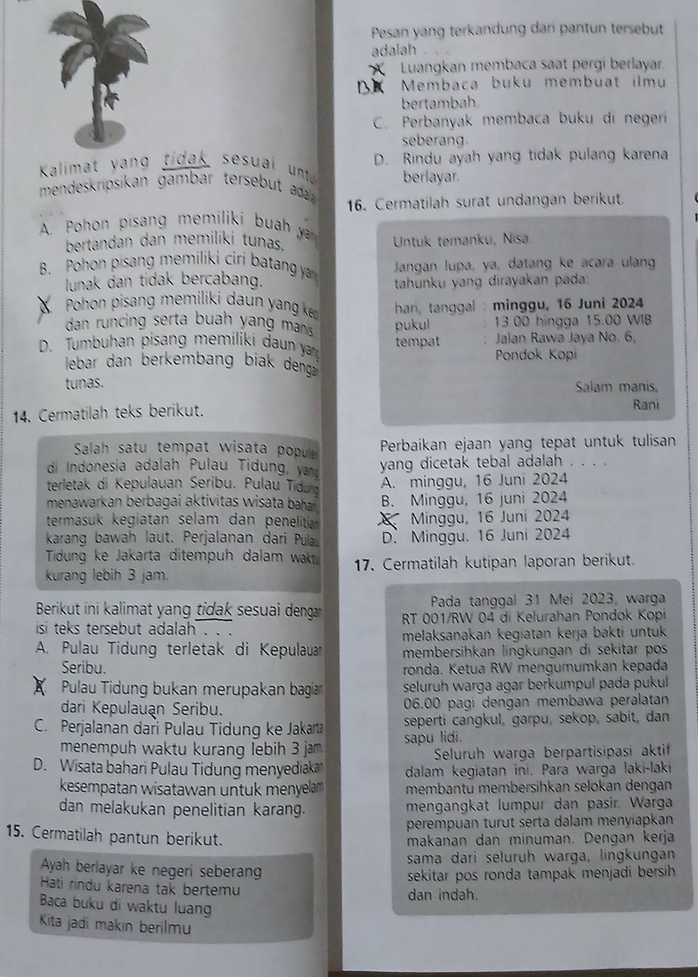 Pesan yang terkandung dari pantun tersebut
adalah
Luangkan membaca saat pergi berlayar.
DK  Membaca buku membuat ilmu
bertambah
C. Perbanyak membaca buku di negerí
seberang.
Kalimattidak  sesuai unt D. Rindu ayah yang tidak pulang karena
berlayar.
mendeskrpsikan gambar tersebut da 
16. Cermatilah surat undangan berikut.
A. Pohon pisang memiliki buah y 
bertandan dan memiliki tunas. Untuk temanku, Nisa.
B. Pohon pisang memiliki ciri batan ya
Jangan lupa, ya, datang ke acara ulang
lunak dan tidak bercabang. tahunku yang dirayakan pada:
Pohon pisang memiliki da n y ang k 
har, tanggal : minggu, 16 Juni 2024
dan runcing serta buah   y an  mnn . 13.00 hingga 15.00 WIB
pukul
D. Tumbuhan pisang memiliki dan y tempat Jalan Rawa Jaya No. 6,
Pondok Kopi
lebar dan berkembang biak denga
tunas. Salam manis,
14. Cermatilah teks berikut. Rani
Salah satu tempat wisata popul Perbaikan ejaan yang tepat untuk tulisan
di Indonesia adalah Pulau Tidung, yan yang dicetak tebal adalah . . . .
terletak di Kepulauan Seribu. Puläu Tidun A. minggu, 16 Juni 2024
menawarkan berbagai aktivitas wisata baha . B. Minggu, 16 juni 2024
termasuk kegiatan selam dan penelitia Minggu, 16 Juni 2024
karang bawah laut. Perjalanan dari Pulau D. Minggu. 16 Juni 2024
Tidung ke Jakarta ditempuh dalam wakt
kurang lebih 3 jam. 17. Cermatilah kutipan laporan berikut.
Berikut ini kalimat yang tidak sesuai denga  Pada tanggal 31 Mei 2023, warga
isi teks tersebut adalah . . .  RT 001/RW 04 di Kełurahan Pondok Kopi
melaksanakan kegiatan kerja bakti untuk 
A. Pulau Tidung terletak di Kepulaua membersihkan lingkungan di sekitar pos
Seribu. ronda. Ketua RW mengumumkan kepada
Pulau Tidung bukan merupakan bagia seluruh warga agar berkumpul pada pukul 
dari Kepulauan Seribu. 06.00 pagi dengan membawa peralatan
C. Perjalanan daři Pulau Tidung ke Jakarta seperti cangkul, garpu, sekop, sabit, dan
menempuh waktu kurang lebih 3 jam sapu lidi.
Seluruh warga berpartisipasi aktif
D. Wisata bahari Pulau Tidung menyediaka dalam kegiatan ini. Para warga laki-laki
kesempatan wisatawan untuk menyelam membantü membersihkan selokan dengan
dan melakukan penelitian karang. mengangkat lumpur dan pasir. Warga
perempuan turut serta dalam menyiapkan
15. Cermatilah pantun berikut. makanan dan minuman. Dengan kerja
sama dari seluruh warga, lingkungan
Ayah berlayar ke negeri seberang
sekitar pos ronda tampak menjadi bersih.
Hati rindu karena tak bertemu
dan indah.
Baca buku di waktu luang
Kita jadi makin berilmu