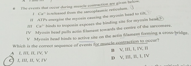 The events that occur during muscle contraction are given below.
Ca^(2+) is released from the sarcoplasmic reticulum.
II ATPs energise the myosin causing the myosin head to tilt.
III Ca^(2+) binds to troponin exposes the binding site for myosin head?
IV Myosin head pulls actin filament towards the centre of the sarcomere.
V Myosin head binds to active site on the actin filament forming a cross-bridge.
Which is the correct sequence of events for muscle contraction to occur?
A I, III, II, IV, V B V, III, I, IV, II
D V, III, II, I, IV
C I, III, II, V, IV