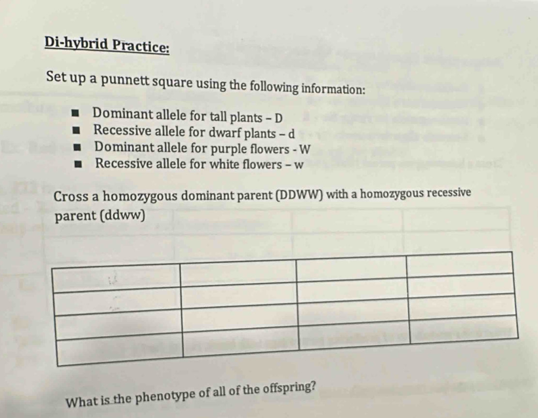 Di-hybrid Practice: 
Set up a punnett square using the following information: 
Dominant allele for tall plants - D 
Recessive allele for dwarf plants - d 
Dominant allele for purple flowers - W 
Recessive allele for white flowers - w 
Cross a homozygous dominant parent (DDWW) with a homozygous recessive 
parent (ddww) 
What is the phenotype of all of the offspring?