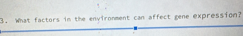 What factors in the environment can affect gene expression?