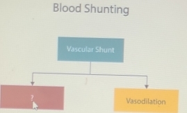 Blood Shunting
Vascular Shunt
7 Vasodilation