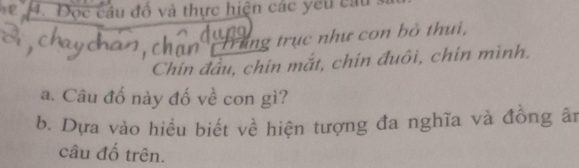 Đọc câu đồ và thực hiện các yeu cau 
Trung trục như con bò thui, 
Chín đầu, chín mắt, chín đuôi, chín mình. 
a. Câu đố này đố về con gì? 
b. Dựa vào hiểu biết về hiện tượng đa nghĩa và đồng ân 
câu đố trên.