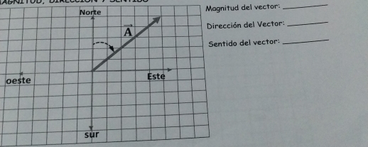 del vector:
_
n del Vector:
_
del vector:
_