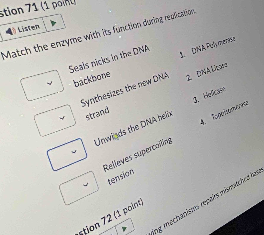 stion 71 (1 poi
Listen
Match the enzyme with its function during replication
1. DNA Polymerase
Seals nicks in the DNA
backbone
Synthesizes the new DNA 2. DNA Ligase
3. Helicase
4. Topoisomerase
strand
Unwinds the DNA helix
Relieves supercoiling
tension
J
ng mechanisms repairs mismatched ba 
tion 2 (1 point