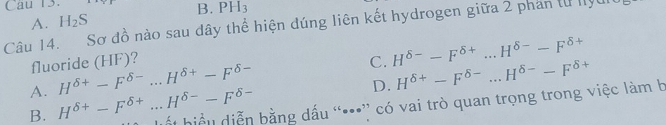 Cau 13.
B.
A. H_2S PH_3
Câu 14. Sơ đồ nào sau đây thể hiện đúng liên kết hydrogen giữa 2 phân từ lyu
fluoride (HF)? C. H^(delta -)-F^(delta +)...H^(delta -)-F^(delta +)
A. H^(delta +)-F^(delta -)...H^(delta +)-F^(delta -)
D. H^(delta +)-F^(delta -)...H^(delta -)-F^(delta +)
B. H^(delta +)-F^(delta +)...H^(delta -)-F^(delta -)
lốt biểu diễn bằng dấu “•••” có vai trò quan trọng trong việc làm b