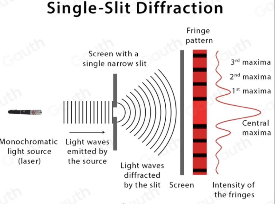 Solved: Draw and label the schematic diagrams for both the single slit ...