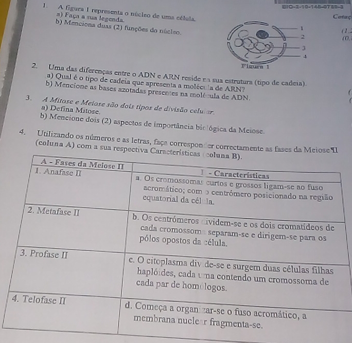 BIO-2 -10 -148-0749-3 
1. A figura 1 representa o núcleo de uma célula. (1 
Cotaç 
a) Faça a sua legenda. (, 
b) Menciona duas (2) funções do núcleo. 
2. Uma das diferenças entre o ADN e ARN reside na sua estrutura (tipo de cadeia). 
a) Qual é o tipo de cadeia que apresenta a molécula de ARN? 
b) Mencione as bases azotadas presentes na molécula de ADN. 
3. A Mitose e Meiose são dois tipos de divisão celular. 
a) Defina Mitose. 
b) Mencione dois (2) aspectos de importância biológica da Meiose. 
4. Utilizando os números e as letras, faça corresponder correctamente as fases 
(coluna A) com a sua resp