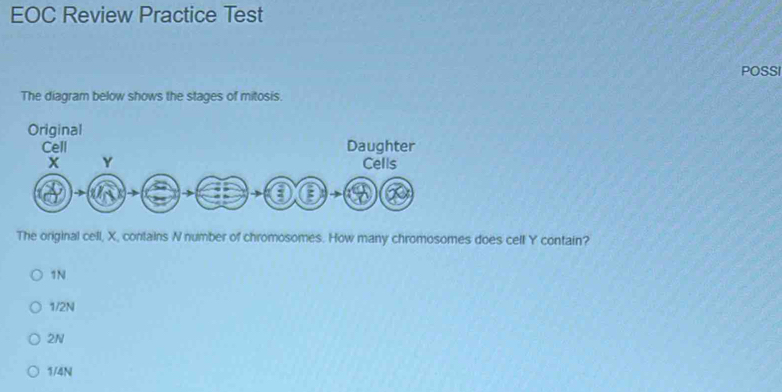Solved: EOC Review Practice Test POSSI The diagram below shows the ...