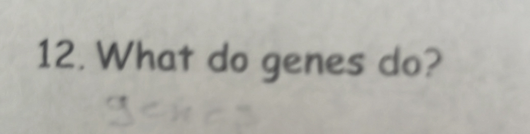 What do genes do?