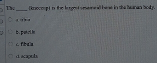 The_ (kneecap) is the largest sesamoid bone in the human body.
a. tibia
b. patella
c. fibula
d. scapula