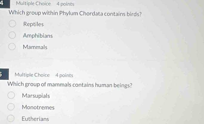 Which group within Phylum Chordata contains birds?
Reptiles
Amphibians
Mammals
5 Multiple Choice 4 points
Which group of mammals contains human beings?
Marsupials
Monotremes
Eutherians