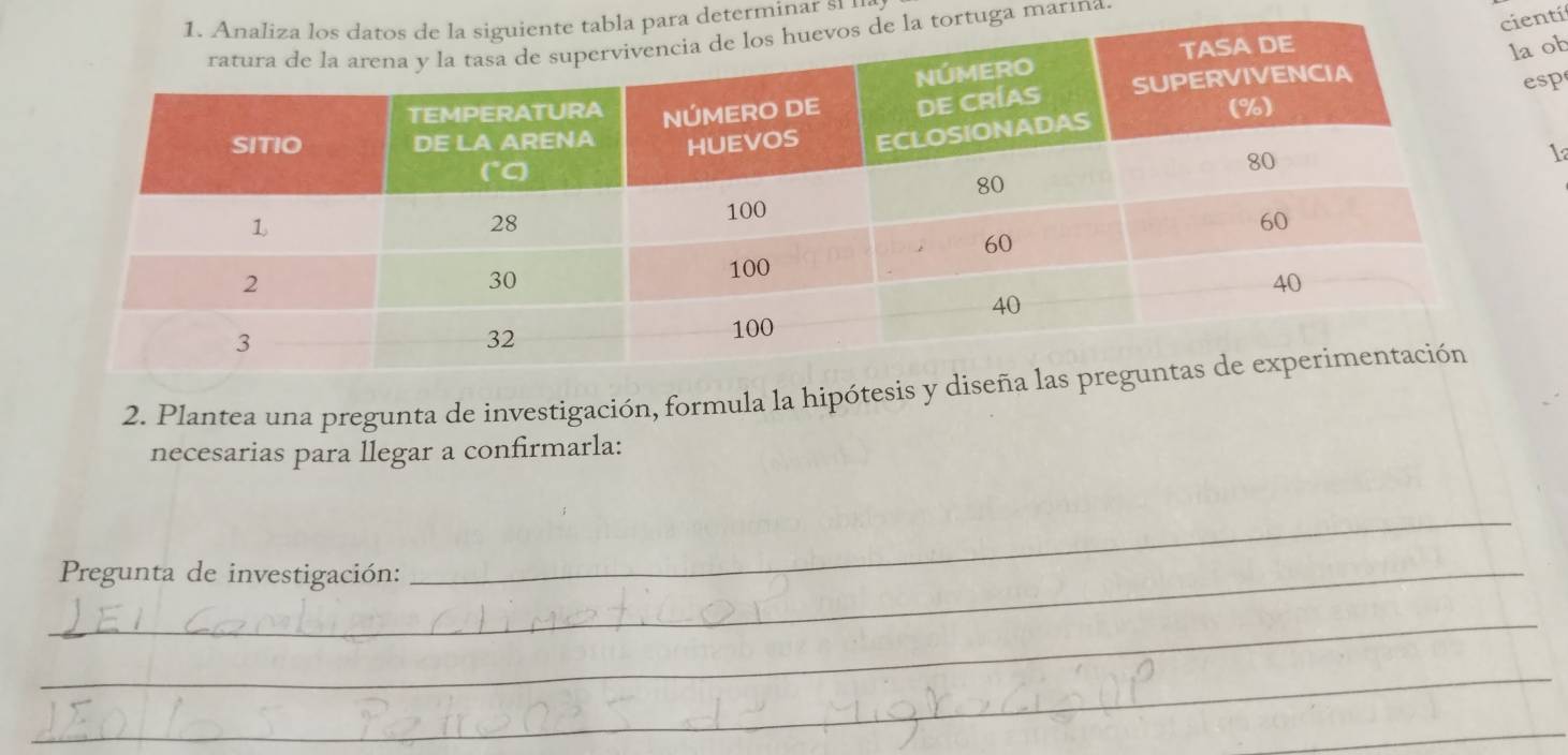 ientí 
para determinar sh 
tortuga marína. 
ob 
sp 
1 
2. Plantea una pregunta de investigación, formula la hipó 
necesarias para llegar a confirmarla: 
_ Pregunta de investigación: 
_ 
_ 
_ 
_