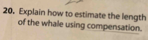 Explain how to estimate the length 
of the whale using compensation.