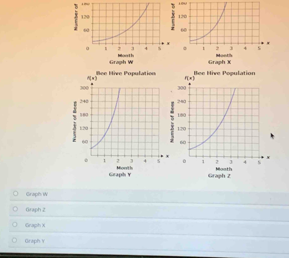 Graph W
Graph Z
Graph X
Graph Y