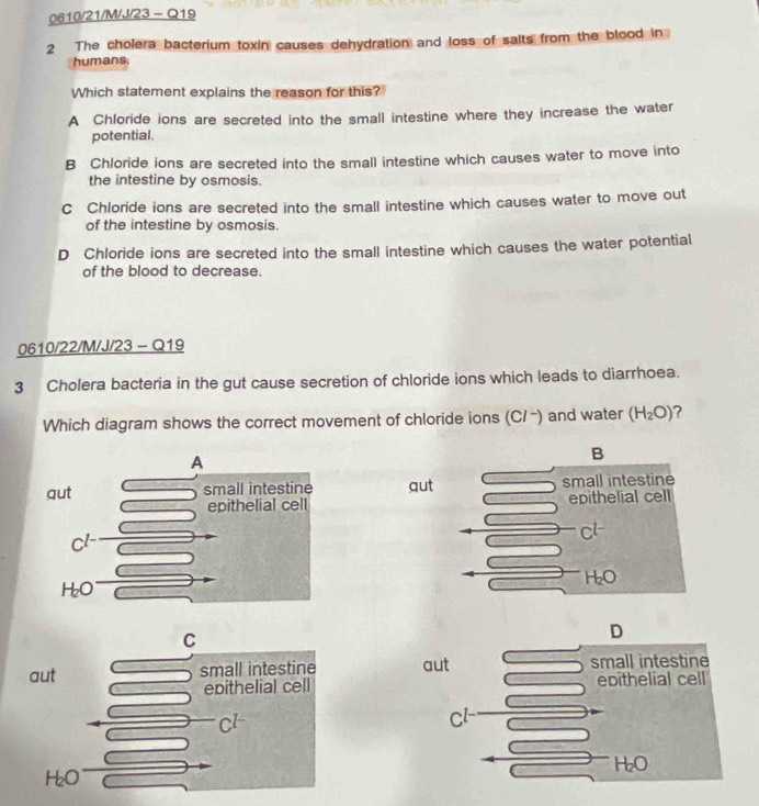 0610/21/M/J/23 - Q19
2 The cholera bacterium toxin causes dehydration and loss of salts from the blood in
humans.
Which statement explains the reason for this?
A Chloride ions are secreted into the small intestine where they increase the water
potential.
B Chloride ions are secreted into the small intestine which causes water to move into
the intestine by osmosis.
C Chloride ions are secreted into the small intestine which causes water to move out
of the intestine by osmosis.
D Chloride ions are secreted into the small intestine which causes the water potential
of the blood to decrease.
0610/22/M/J/23 - Q19
3 Cholera bacteria in the gut cause secretion of chloride ions which leads to diarrhoea.
Which diagram shows the correct movement of chloride ions (C/ −) and water (H_2O) ?
A
B
qut small intestine qut small intestine
epithelial cell epithelial cell
Cl- Cl
H_2O
H_2O
C
D
aut small intestine aut small intestine
epithelial cell epithelial cell
Cl- Cl-
H_2O
H_2O