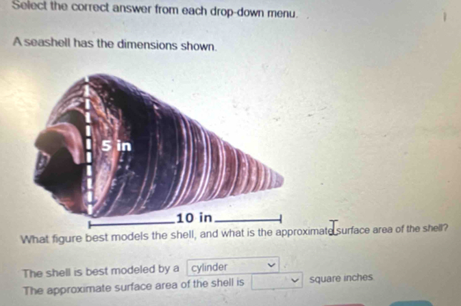 Select the correct answer from each drop-down menu. A seashell has the ...