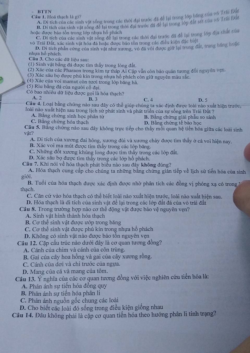 BTTN
A. Di tích của các sinh vật sống trong các thời đại trước đã để lại trong lớp bang của vô Trái Đâ
Câu 1. Hoá thach là gì?
B. Di tích của sinh vật sống để lại trong thời đại trước đã để lại trong lớp đất sốt của vô Tri Đat
hoặc được bảo tồn trong lớp nhựa hồ phách
C. Di tích của các sinh vật sống để lại trong các thời đại trước đã để lại trong lớp địa chất của
vô Trái Đất, xác sinh vật hóa đá hoặc được báo tôn trong các điều kiện đặc biệ
D. Di tích phần cứng của sinh vật như xương, vỏ đá vôi được giữ lại trong đất, trang bằng noặc
nhựa hổ phách.
Câu 3. Cho các dữ liệu sau:
(1) Sinh vật bằng đá được tìm thấy trong lòng đất.
(2) Xác của các Pharaon trong kim tự tháp Ai Cập vẫn còn bảo quản tương đối nguyên vợn
(3) Xác sâu bọ được phủ kín trong nhựa hỗ phách còn giữ nguyên màu sắc.
(4) Xác của voi mamut còn tươi trong lớp băng hà.
(5) Rìu bằng đá của người cổ đại.
Có bao nhiêu dữ liệu được gọi là hóa thạch?
A. 2 B. 3 C. 4 D. 5
Câu 4. Loại bằng chứng nào sau đây có thể giúp chúng ta xác định được loài nào xuất hiện trước,
loài nào xuất hiện sau trong lịch sử phát sinh và phát triển của sự sống trên Trái Đất ?
A. Bằng chứng sinh học phân tử B. Bằng chứng giải phẫu so sánh
C. Bằng chứng hóa thạch D. Bằng chứng tế bào học
Câu 5. Bằng chứng nào sau đây không trực tiếp cho thấy mối quan hệ tiến hóa giữa các loài sinh
vật?
A. Di tích của xương đai hông, xương đùi và xương chày được tìm thấy ở cá voi hiện nay.
B. Xác voi ma mút được tìm thấy trong các lớp băng.
C. Những đốt xương khủng long được tìm thấy trong các lớp đất.
D. Xác sâu bọ được tìm thấy trong các lớp hồ phách.
Câu 7. Khi nói về hóa thạch phát biểu nào sau đây không đúng?
A. Hóa thạch cung cấp cho chúng ta những bằng chứng gián tiếp về lịch sử tiến hóa của sinh
giới.
B. Tuổi của hóa thạch được xác định được nhờ phân tích các đồng vị phóng xạ có trong
thạch.
C. Căn cứ vào hóa thạch có thể biết loài nào xuất hiện trước, loài nào xuất hiện sau.
D. Hóa thạch là di tích của sinh vật để lại trong các lớp đất đá của vỏ trái đất
Câu 8. Trong trường hợp nào cơ thể động vật được bảo vệ nguyên vẹn?
A. Sinh vật hình thành hóa thạch
B. Cơ thể sinh vật được ướp trong băng
C. Cơ thể sinh vật được phủ kín trong nhựa hổ phách
D. Không có sinh vật nào được bảo tồn nguyên vẹn
Câu 12. Cặp cấu trúc nào dưới đây là cơ quan tương đồng?
A. Cánh của chim và cánh của côn trùng.
B. Gai của cây hoa hồng và gai của cây xương rồng.
C. Cánh của dơi và chi trước của ngựa.
D. Mang của cá và mang của tôm.
Câu 13. Ý nghĩa của các cơ quan tương đồng với việc nghiên cứu tiến hóa là:
A. Phản ánh sự tiến hóa đồng quy
B. Phản ánh sự tiến hóa phân li
C. Phản ánh nguồn gốc chung các loài
D. Cho biết các loài đó sống trong điều kiện giống nhau
Câu 14. Đâu không phải là cặp cơ quan tiến hóa theo hướng phân li tính trạng?