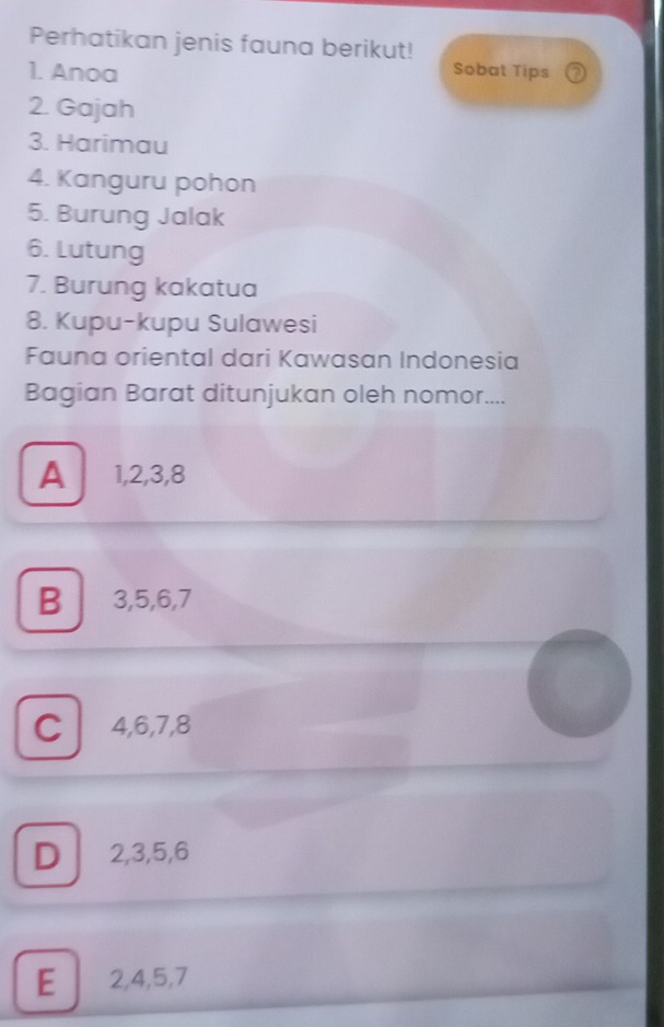 Perhatikan jenis fauna berikut!
1. Anoa Sobat Tips ②
2. Gajah
3. Harimau
4. Kanguru pohon
5. Burung Jalak
6. Lutung
7. Burung kakatua
8. Kupu-kupu Sulawesi
Fauna oriental dari Kawasan Indonesia
Bagian Barat ditunjukan oleh nomor....
A 1, 2, 3, 8
B₹ 3, 5, 6, 7
C 4, 6, 7, 8
D 2, 3, 5, 6
E 2, 4, 5, 7