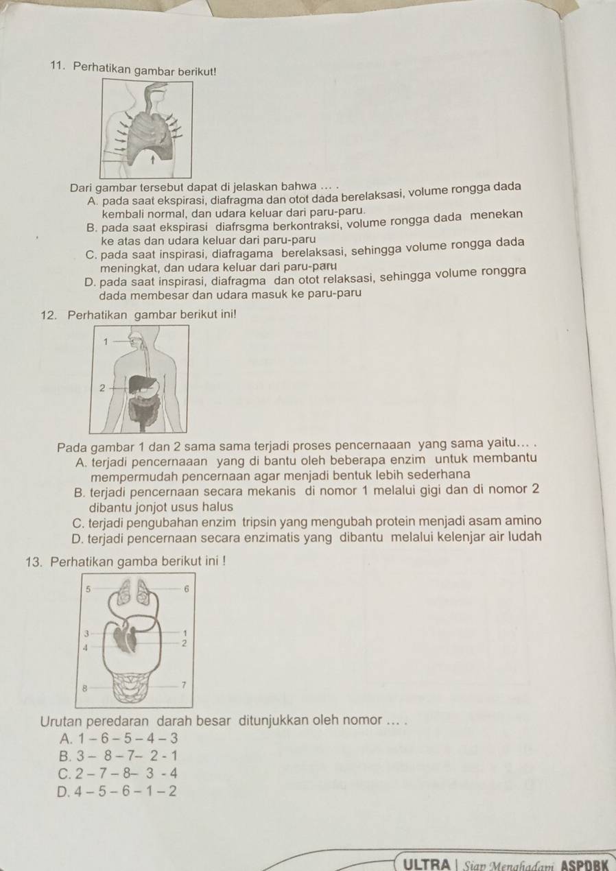 Perhatikan gambar berikut!
Dari gambar tersebut dapat di jelaskan bahwa ... .
A. pada saat ekspirasi, diafragma dan otot dada berelaksasi, volume rongga dada
kembali normal, dan udara keluar dari paru-paru.
B. pada saat ekspirasi diafrsgma berkontraksi, volume rongga dada menekan
ke atas dan udara keluar dari paru-paru
C. pada saat inspirasi, diafragama berelaksasi, sehingga volume rongga dada
meningkat, dan udara keluar dari paru-paru
D. pada saat inspirasi, diafragma dan otot relaksasi, sehingga volume ronggra
dada membesar dan udara masuk ke paru-paru
12. Perhatikan gambar berikut ini!
Pada gambar 1 dan 2 sama sama terjadi proses pencernaaan yang sama yaitu... .
A. terjadi pencernaaan yang di bantu oleh beberapa enzim untuk membantu
mempermudah pencernaan agar menjadi bentuk lebih sederhana
B. terjadi pencernaan secara mekanis di nomor 1 melalui gigi dan di nomor 2
dibantu jonjot usus halus
C. terjadi pengubahan enzim tripsin yang mengubah protein menjadi asam amino
D. terjadi pencernaan secara enzimatis yang dibantu melalui kelenjar air ludah
13. Perhatikan gamba berikut ini !
Urutan peredaran darah besar ditunjukkan oleh nomor ... .
A. 1-6-5-4-3
B. 3-8-7-2-1
C. 2-7-8-3-4
D. 4-5-6-1-2
ULTRA| Siav Menahadavi, ASPDBK