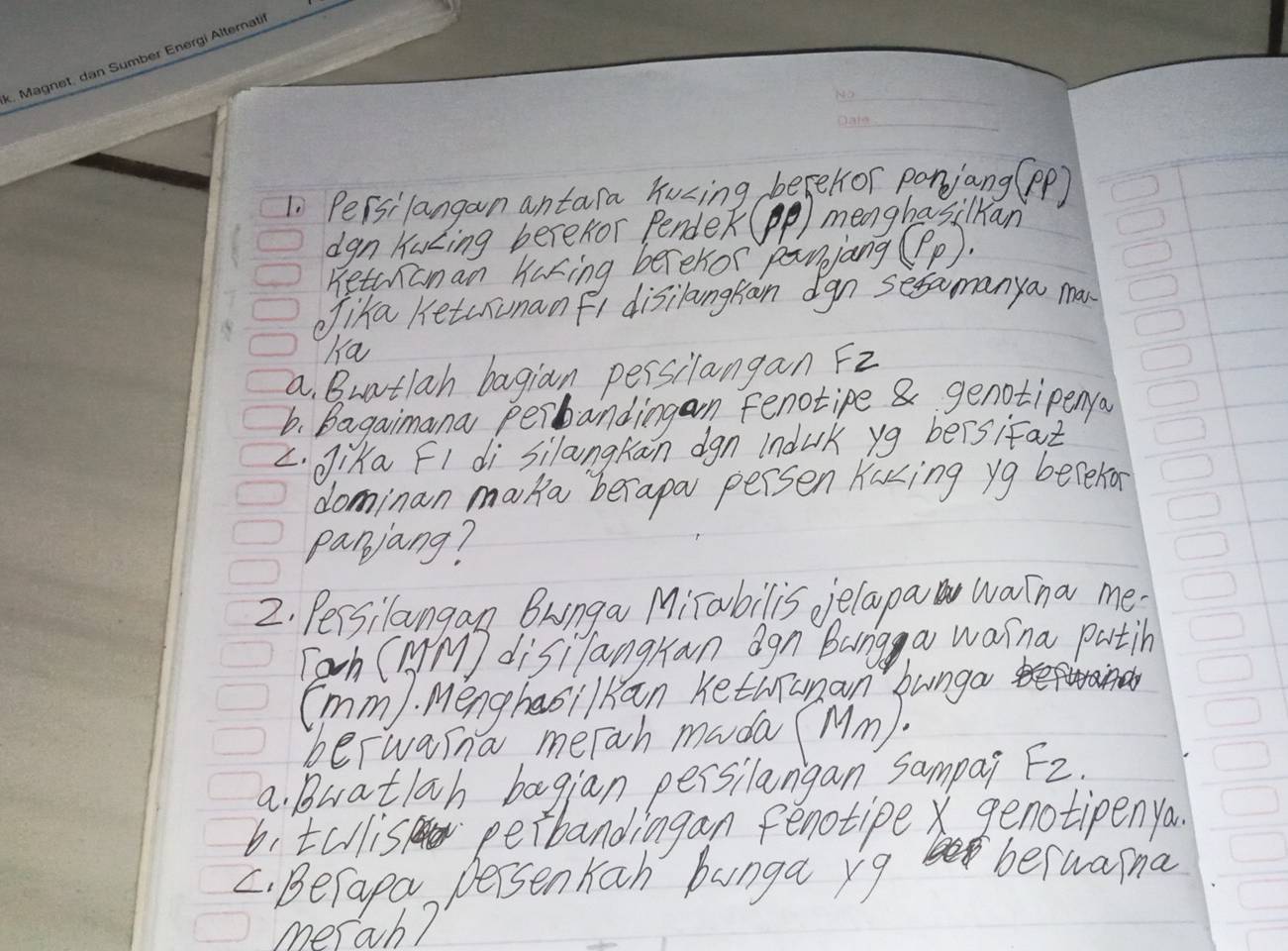 1i Persilangan antara hucing befehor ponjang(Pp) 
dgn haLing berefor Pender(p) menghasilkan 
returianan Kaking berehor paiang( P_P)
clika Ketuunanfl disilangkan dgn sefamanya ma 
Na 
a. Buatlah bagian persilangan Fz 
b. Bagaimana perbandingan fenotipe & genotipenfo 
L. dika F1 di silangRan dgn induk yg bersifat 
dominan maka berapa persen Kaking yg beleka 
panjang? 
2. Pessilangan Brnga Mirabilis jelapa Waina me. 
Took (Mm disiTangkan agn Bung a wasna patih 
Imm). Menghasilkan Kethianan 
bunga 
beFwasna merah mada (Mm). 
a. Buatlah bagian persilangan sampai F_2. 
b, tcllis perbandiagan fenotipe genotipen ya. 
C. Befapa Dersenkah bunga r9 berwaina 
merab?