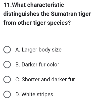 What characteristic
distinguishes the Sumatran tiger
from other tiger species?
A. Larger body size
B. Darker fur color
C. Shorter and darker fur
D. White stripes