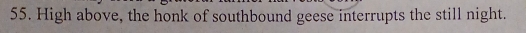 High above, the honk of southbound geese interrupts the still night.