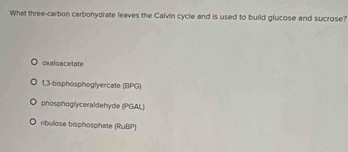 What three-carbon carbohydrate leaves the Calvin cycle and is used to build glucose and sucrose?
oxaloacetate
1,3 -bisphosphoglyercate (BPG)
phosphoglyceraldehyde (PGAL)
ribulose bisphosphate (RuBP)