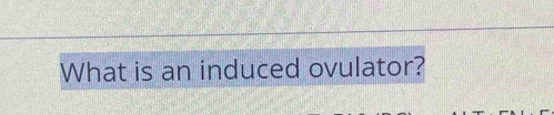 What is an induced ovulator?