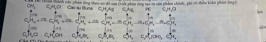 Cau 16: Hoàn thành các phản ứng theo sơ đồ sau (viết phản ứng tạo ra sản phẩm chính, ghi rõ điều kiện phản ứng):
CH_4 C_4H_9Cl Cao su Buna C_4H_3Ag C_2Ag_2 PE C_2H_5Cl
åm
uparrow _(19) (16) uparrow _(13) GPA=)-f(1) uparrow _(10) 4_...uparrow _(1)uparrow _(4)
C_4H_10
|(20) ⊥ (17) |(14) ⊥ (11) ⊥ (2) -1 |(5) |(8) 1iêu
C_4H_9Cl C_4H_9OH C_4H_6Br_4 C_4H_4Br_6 C_6^(4H_6)C_2H_4(OH)_2C_2^(4H_4)
Câu 17.