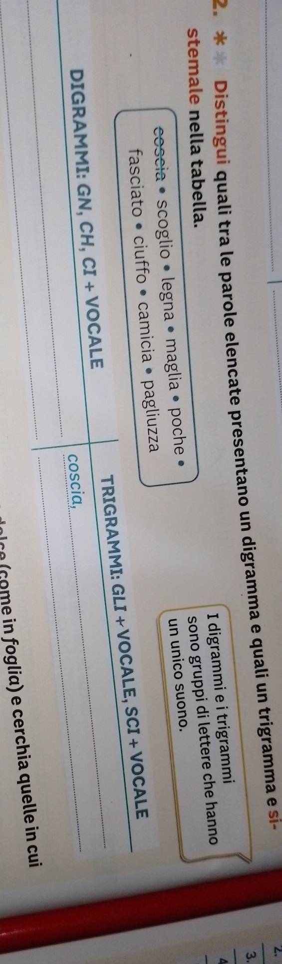 Distingui quali tra le parole elencate presentano un digramma e quali un trigramma e si- 
I digrammi e i trigrammi 
stemale nella tabella. 
sono gruppi di lettere che hanno 
coscia • scoglio • legna • maglia • poche 
un unico suono. 
fasciato • ciuffo • camicia • pagliuzza 
DIGRAMMI: GN, CH, CI + VOCALE TRIGRAMMI: GLI + VOCALE, SCI + VOCALE 
coscia, 
c o c om e in fogliα) e cerchia quelle in cui