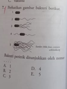 vakuoia
7./ Perhatikan gambar bakteri berikut.
1
2
3
4
$
silimdiog
Bakteri peritrik ditunjukkan oleh nomot
A. 1
B. 2
D. 4
C. 3 E. 5