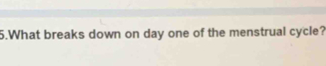 What breaks down on day one of the menstrual cycle?