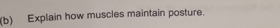 Explain how muscles maintain posture.