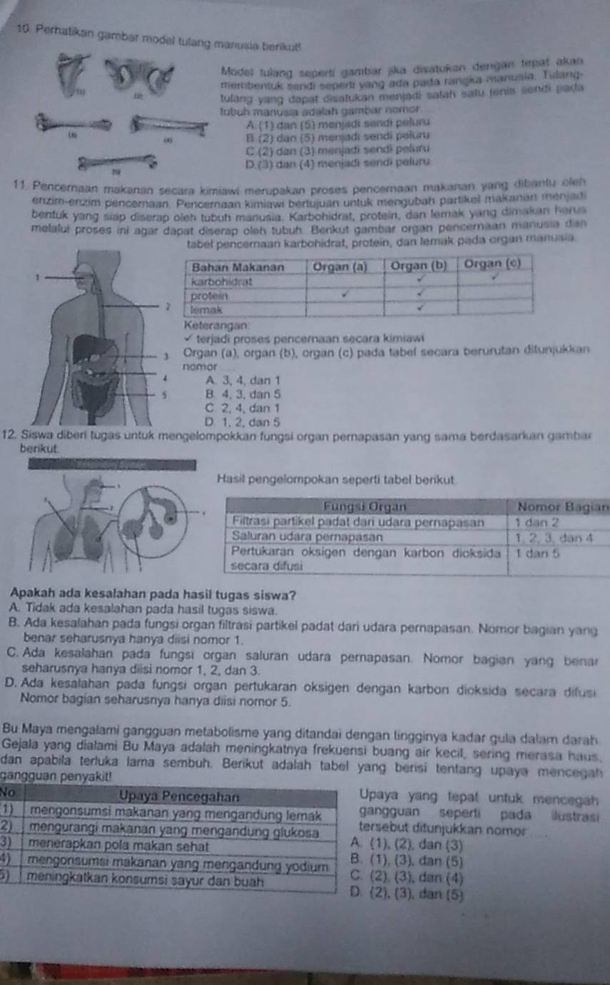 Perhatikan gambar model tulang manusia berikut!
Model tulang sepertí gambar jika disatukan dengan tepat akan
membentuk sendi seperti yang ada pada rangka manusia. Tulang.
tulang yang dapat deatukan menjadi satah salu tenis sondi pada
tubuh manusia adalah gambar nomor
A. (1) dan (5) menjadi sandi peluru
B (2) dan (5) menjadi sendi peluru
C (2) dan (3) menjadi sendi peluru
D.(3) dan (4) menjadi sendi peluri
11. Pencernaan makanan secara kimiawi merupakan proses pencemaan makanan yang dibantu olen
enzim-enzim penceraan. Penceraan kimiawi bertujuan untuk mengubah partikel makanan menjad
bentuk yang siap diserap oleh tubuh manusia. Karbohidrat, protein, dan lemak yang dimakan harus
melalui proses ini agar dapat diserap oleh tubuh. Benkut gambar organ pencernaan manusia dan
tabel penceraan karbohidrat, protein, dan lemak pada organ manusia
√ terjadî proses pencernaan secara kimiawi
Organ (a), organ (b), organ (c) pada tabel secara berurutan difunjukkan
nomor
A. 3, 4, dan 1
B 4, 3, dan 5
C 2, 4, dan 1
D 1. 2. dan 5
12. Siswa diberi tugas untuk mengelompokkan fungsi organ pernapasan yang sama berdasarkan gambar
berikut.
Hasil pengelompokan seperti tabel berikut.
n
Apakah ada kesalahan pada hasil tugas siswa?
A. Tidak ada kesalahan pada hasil tugas siswa.
B. Ada kesalahan pada fungsi organ filtrasi partikel padat dari udara pernapasan. Nomor bagian yang
benar seharusnya hanya diisi nomor 1.
C. Ada kesalahan pada fungsi organ saluran udara pernapasan. Nomor bagian yang benar
seharusnya hanya diisi nomor 1, 2, dan 3.
D. Ada kesalahan pada fungsi organ pertukaran oksigen dengan karbon dioksida secara difusi
Nomor bagian seharusnya hanya diisi nomor 5.
Bu Maya mengalami gangguan metabolisme yang ditandai dengan lingginya kadar gula dalam darah
Gejala yang dialami Bu Maya adalah meningkatnya frekuensi buang air kecil, sering merasa haus,
dan apabila terluka lama sembuh. Berikut adalah tabel yang berisi tentang upaya mencegah
gangguan penyakit!
Na yang tepat untuk mencegah
guan seperti pada ilustras
1but ditunjukkan nomor  .
2 (2), dan (3)
3 (3), dan (5)
(3), dan (4)
5 (3), dan (5)