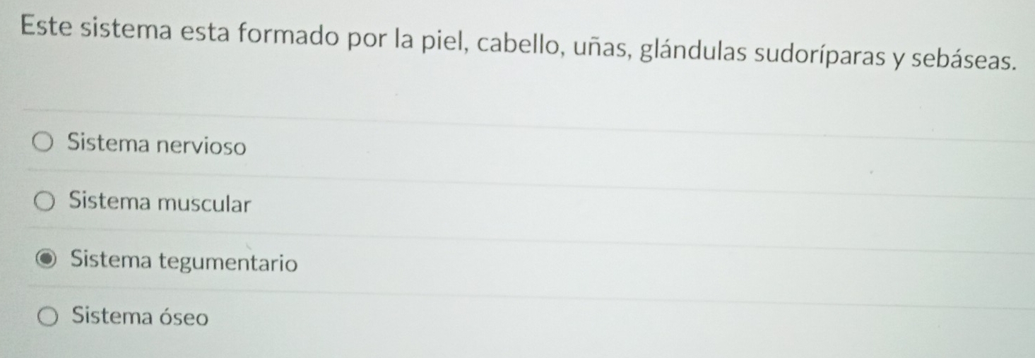 Este sistema esta formado por la piel, cabello, uñas, glándulas sudoríparas y sebáseas.
Sistema nervioso
Sistema muscular
Sistema tegumentario
Sistema óseo