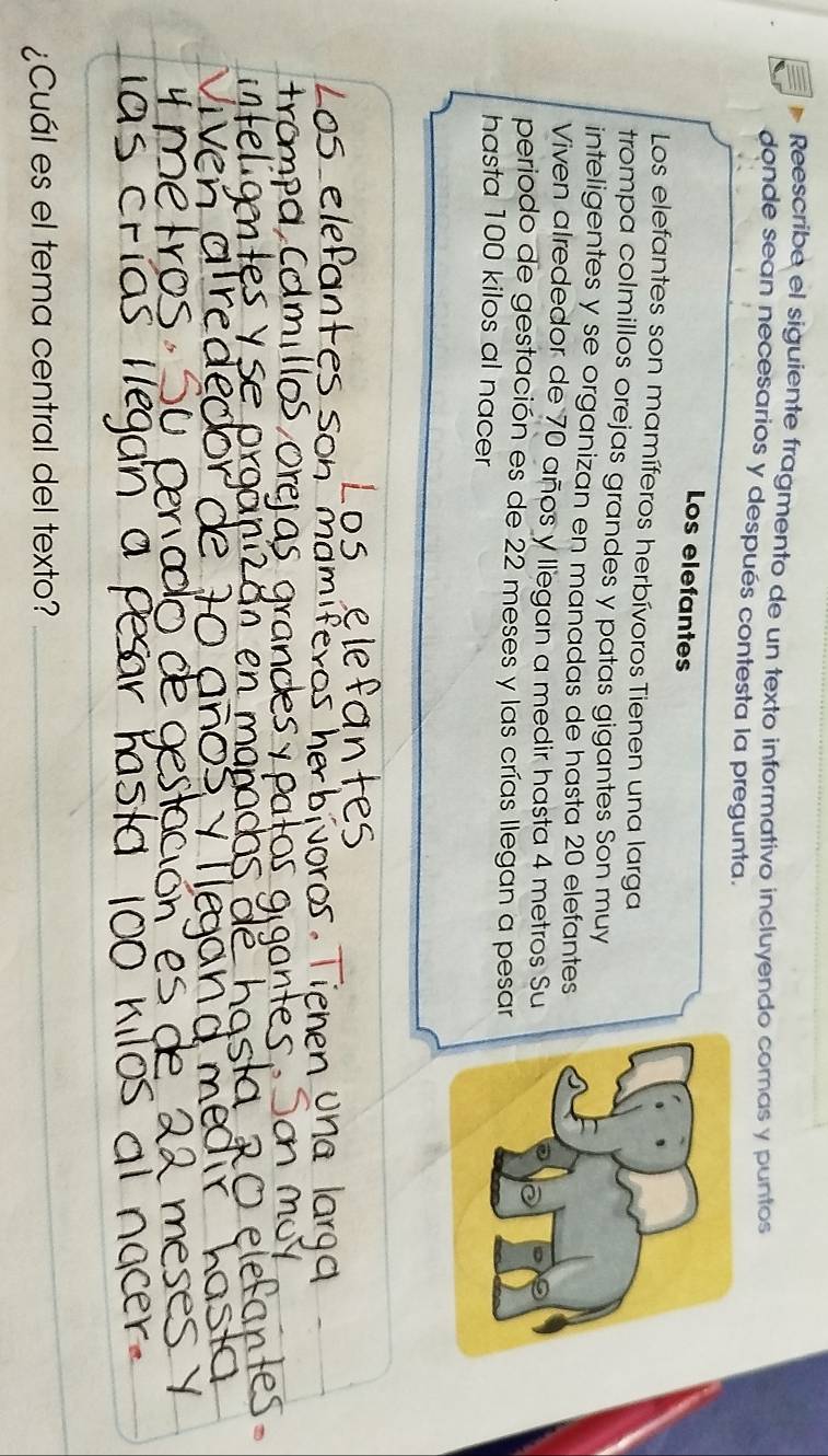 Reescribe el siguiente fragmento de un texto informativo incluyendo comas y puntos 
donde sean necesarios y después contesta la pregunta. 
Los elefantes 
Los elefantes son mamíferos herbívoros Tienen una larga 
trompa colmillos orejas grandes y patas gigantes Son muy 
inteligentes y se organizan en manadas de hasta 20 elefantes 
Viven alrededor de 70 años y llegan a medir hasta 4 metros Su 
periodo de gestación es de 22 meses y las crías llegan a pesar 
hasta 100 kilos al nacer 
¿Cuál es el tema central del texto?