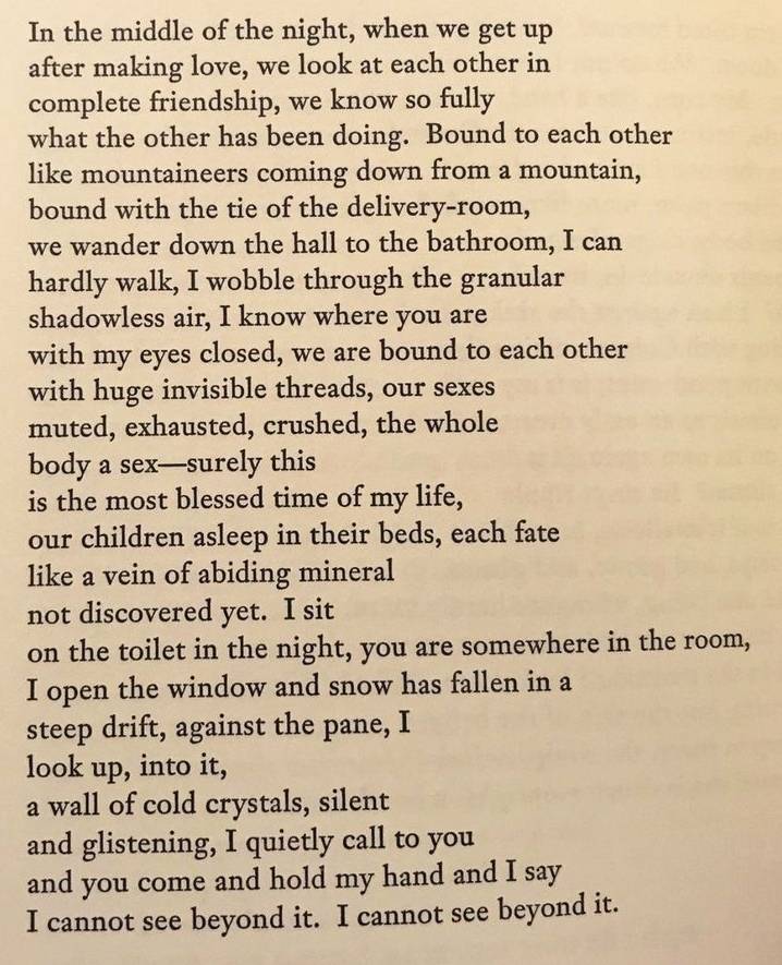 In the middle of the night, when we get up 
after making love, we look at each other in 
complete friendship, we know so fully 
what the other has been doing. Bound to each other 
like mountaineers coming down from a mountain, 
bound with the tie of the delivery-room, 
we wander down the hall to the bathroom, I can 
hardly walk, I wobble through the granular 
shadowless air, I know where you are 
with my eyes closed, we are bound to each other 
with huge invisible threads, our sexes 
muted, exhausted, crushed, the whole 
body a sex—surely this 
is the most blessed time of my life, 
our children asleep in their beds, each fate 
like a vein of abiding mineral 
not discovered yet. I sit 
on the toilet in the night, you are somewhere in the room, 
I open the window and snow has fallen in a 
steep drift, against the pane, I 
look up, into it, 
a wall of cold crystals, silent 
and glistening, I quietly call to you 
and you come and hold my hand and I say 
I cannot see beyond it. I cannot see beyond it.