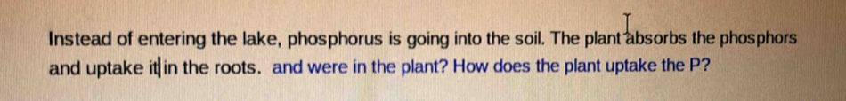 Instead of entering the lake, phosphorus is going into the soil. The plant absorbs the phosphors 
and uptake it in the roots. and were in the plant? How does the plant uptake the P?